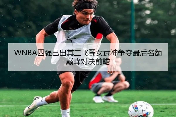 WNBA四强已出其三飞翼女武神争夺最后名额巅峰对决前瞻 - SANYI