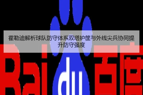 霍勒迪解析球队防守体系双塔护筐与外线尖兵协同提升防守强度 - SANYI